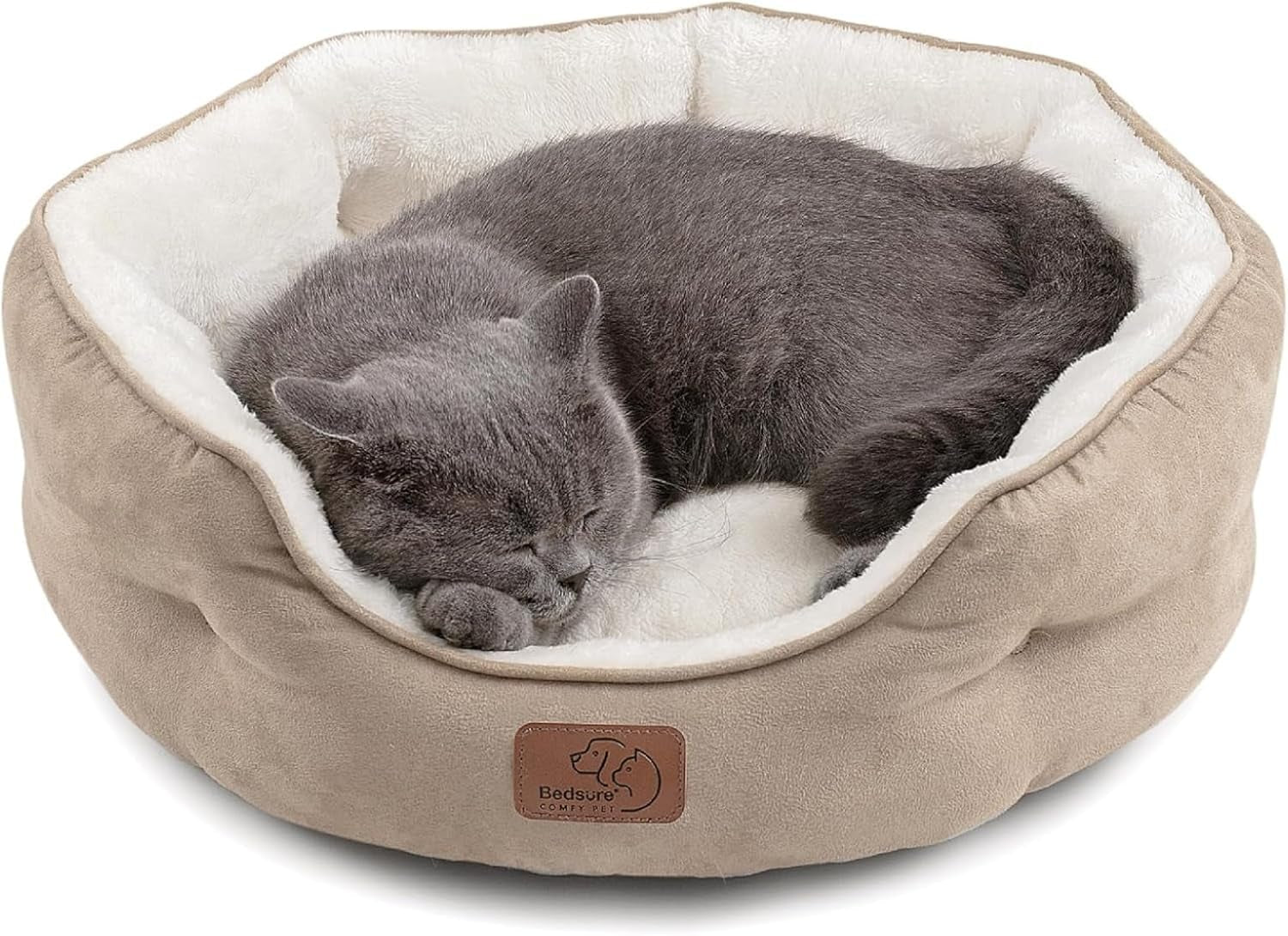 Dog Beds for Small Dogs