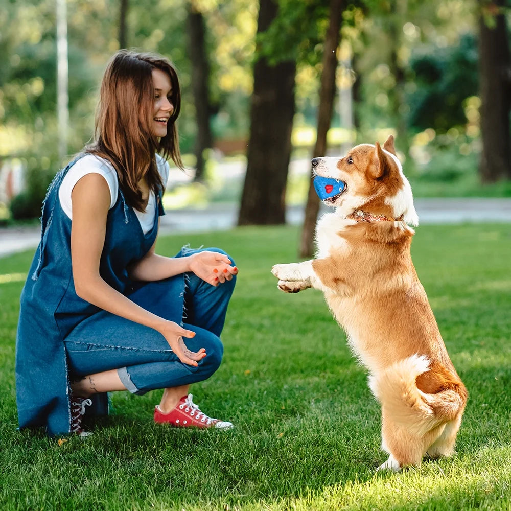 Rubber Dog Chew Toys
