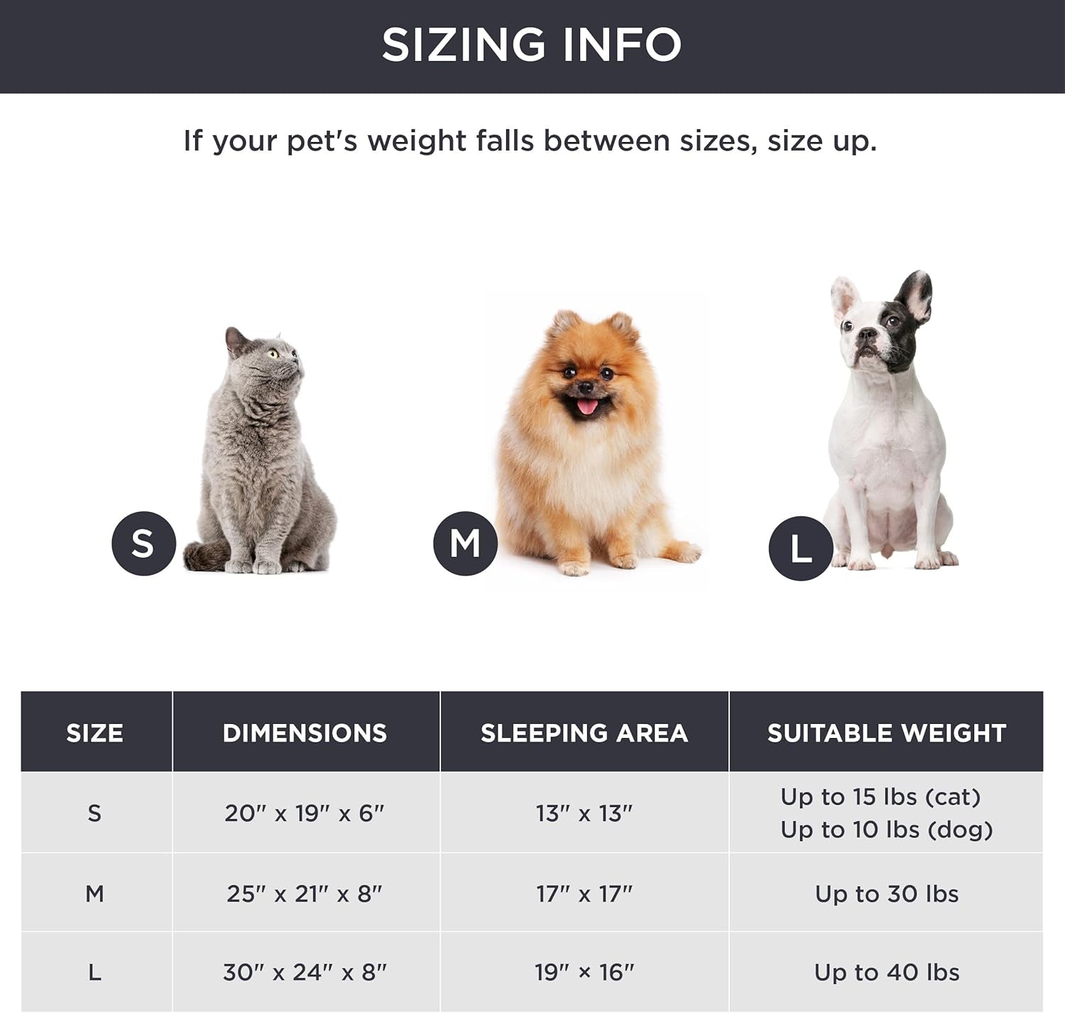 Dog Beds for Small Dogs