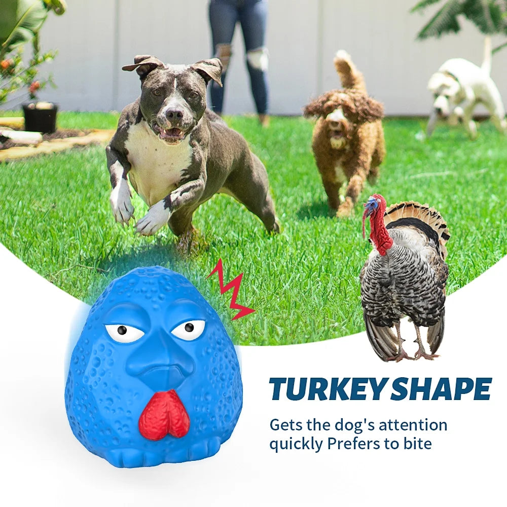 Rubber Dog Chew Toys