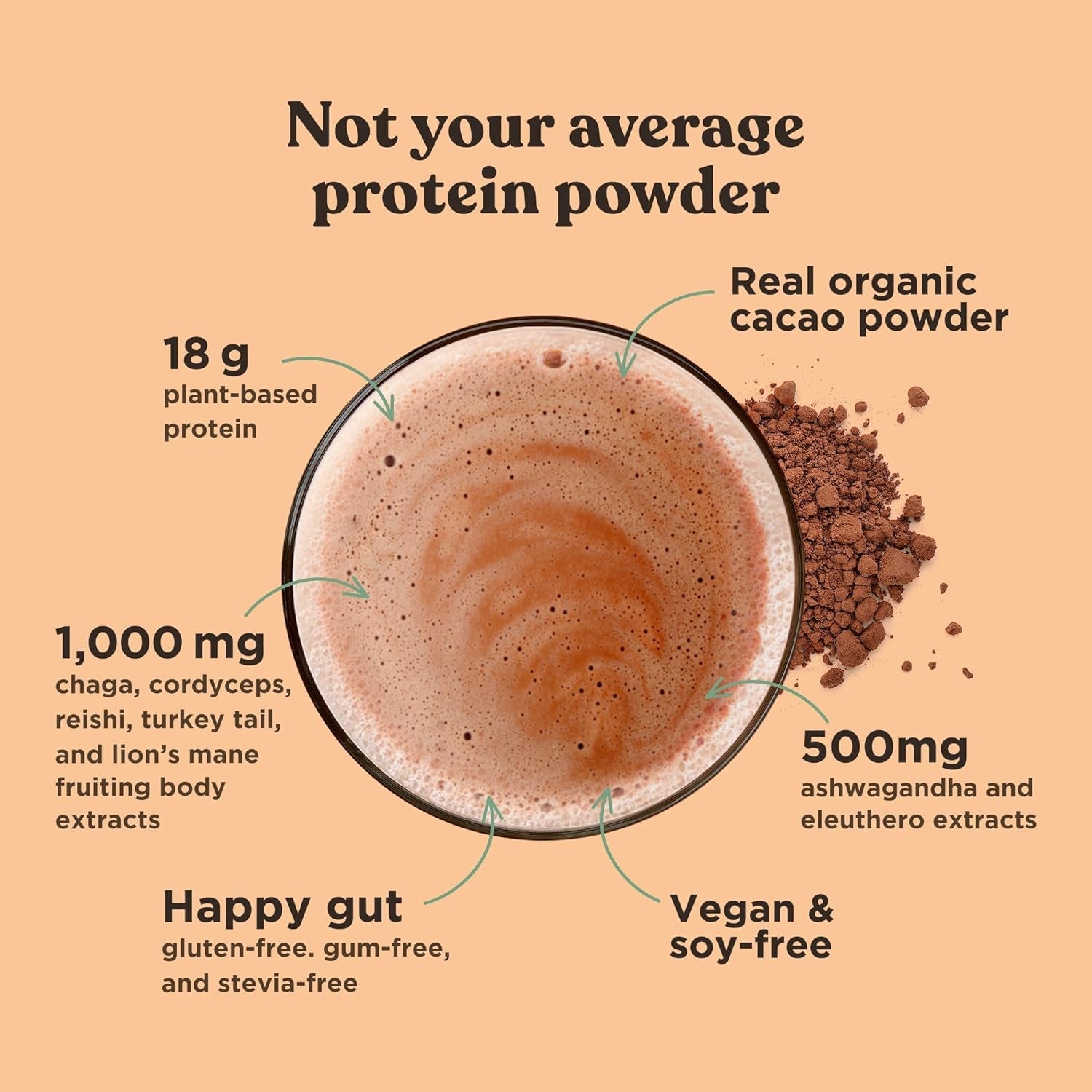 Plant-Based Protein Powder