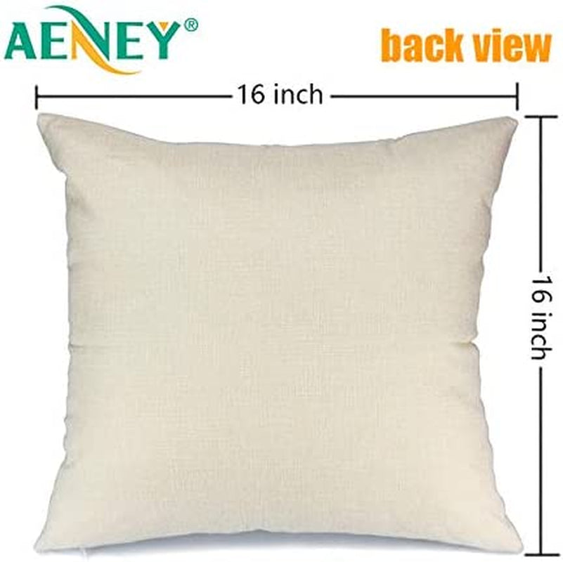 Christmas Pillow Covers