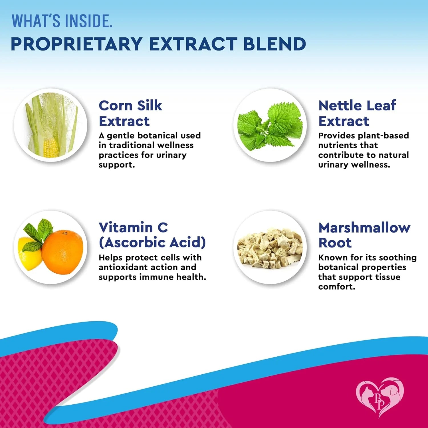 Cat & Dog Urinary Tract Infection Treatment