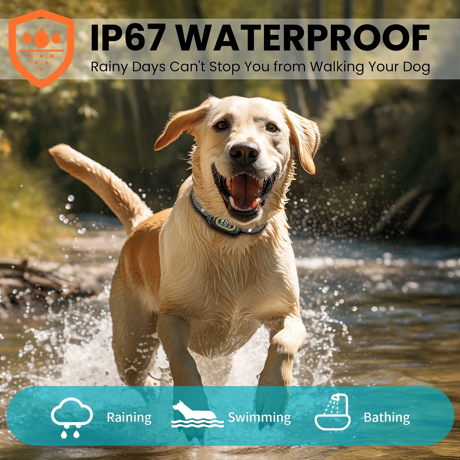 Dog Bark Shock Collar