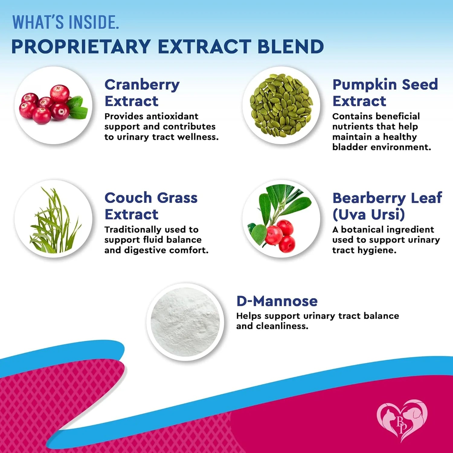 Cat & Dog Urinary Tract Infection Treatment