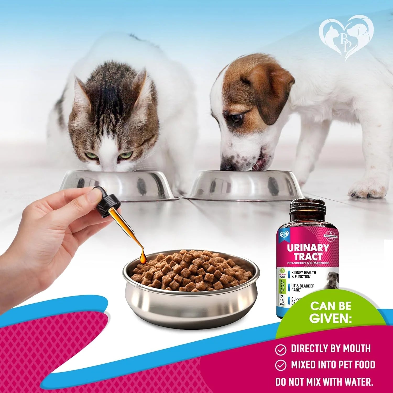 Cat & Dog Urinary Tract Infection Treatment