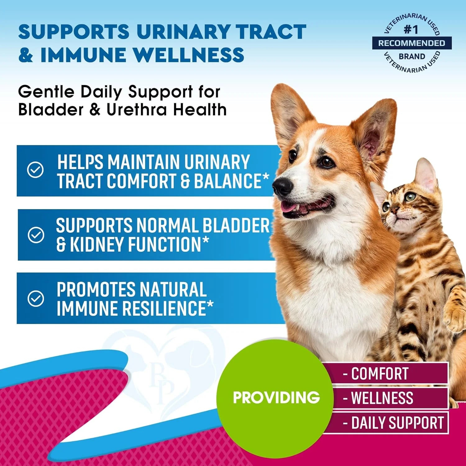 Cat & Dog Urinary Tract Infection Treatment