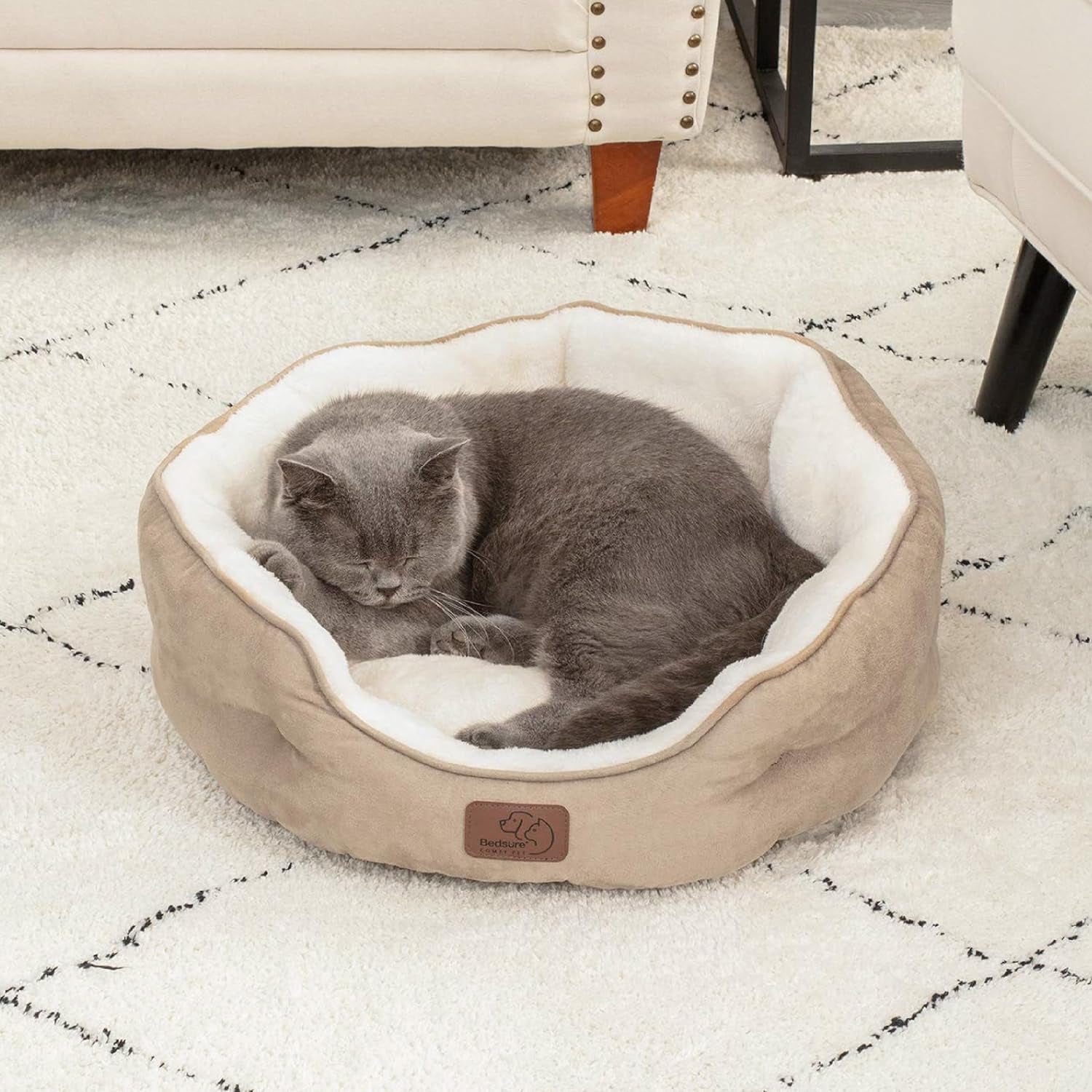 Dog Beds for Small Dogs